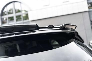 Land Rover Range Rover Autobiography URBAN P550e — photo 18