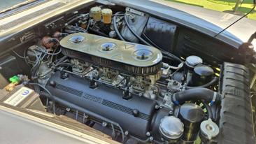 Ferrari 330 GT — photo 14