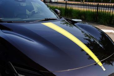 Ferrari Purosangue — photo 32