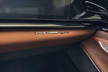 Ferrari Purosangue — photo 11