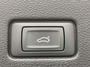 Audi RSQ8 Black Matrix Dynamik 4.0 TFSI — photo 29