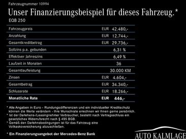 Mercedes EQB 250 — photo 10