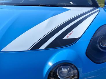 Alpine A110 San Remo 73 — photo 26