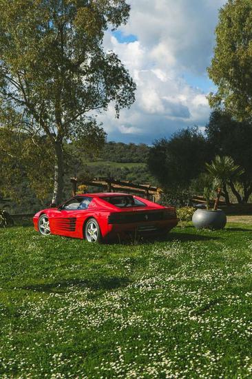 Ferrari 512 TR — photo 16