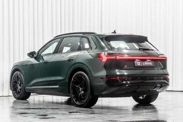 Audi Q8 E-tron Competition 55 — photo 10