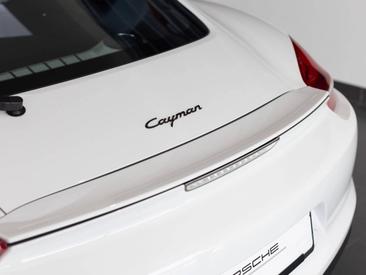 Porsche 981 Cayman Cayman — photo 30