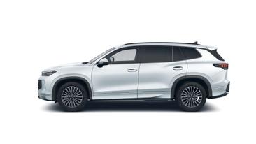 Volkswagen T-CROSS TDI 4Motion — photo 5
