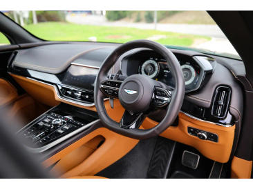 Aston Martin DBX V8 — photo 27