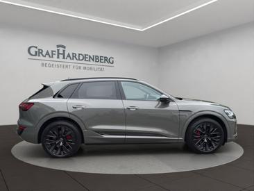 Audi Q8 E-tron S Line 50 E-tron Quattro — photo 7
