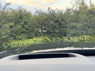 Land Rover Range Rover Sport D350 — photo 25