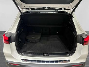 Mercedes EQA 250 — photo 16