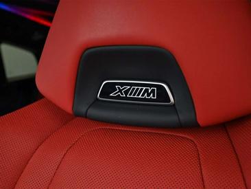 BMW XM Label — photo 12