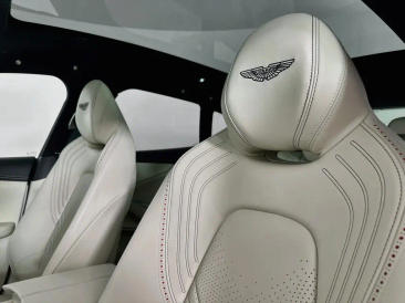 Aston Martin DBX V8 — photo 5