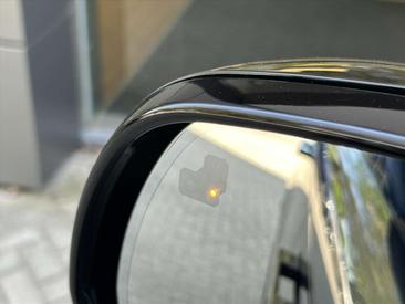 Land Rover Range Rover P550e — photo 19