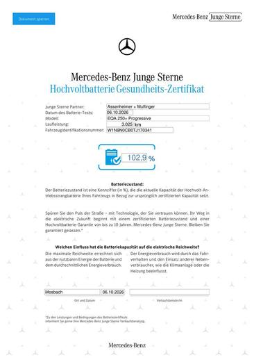 Mercedes EQA 250 — photo 8