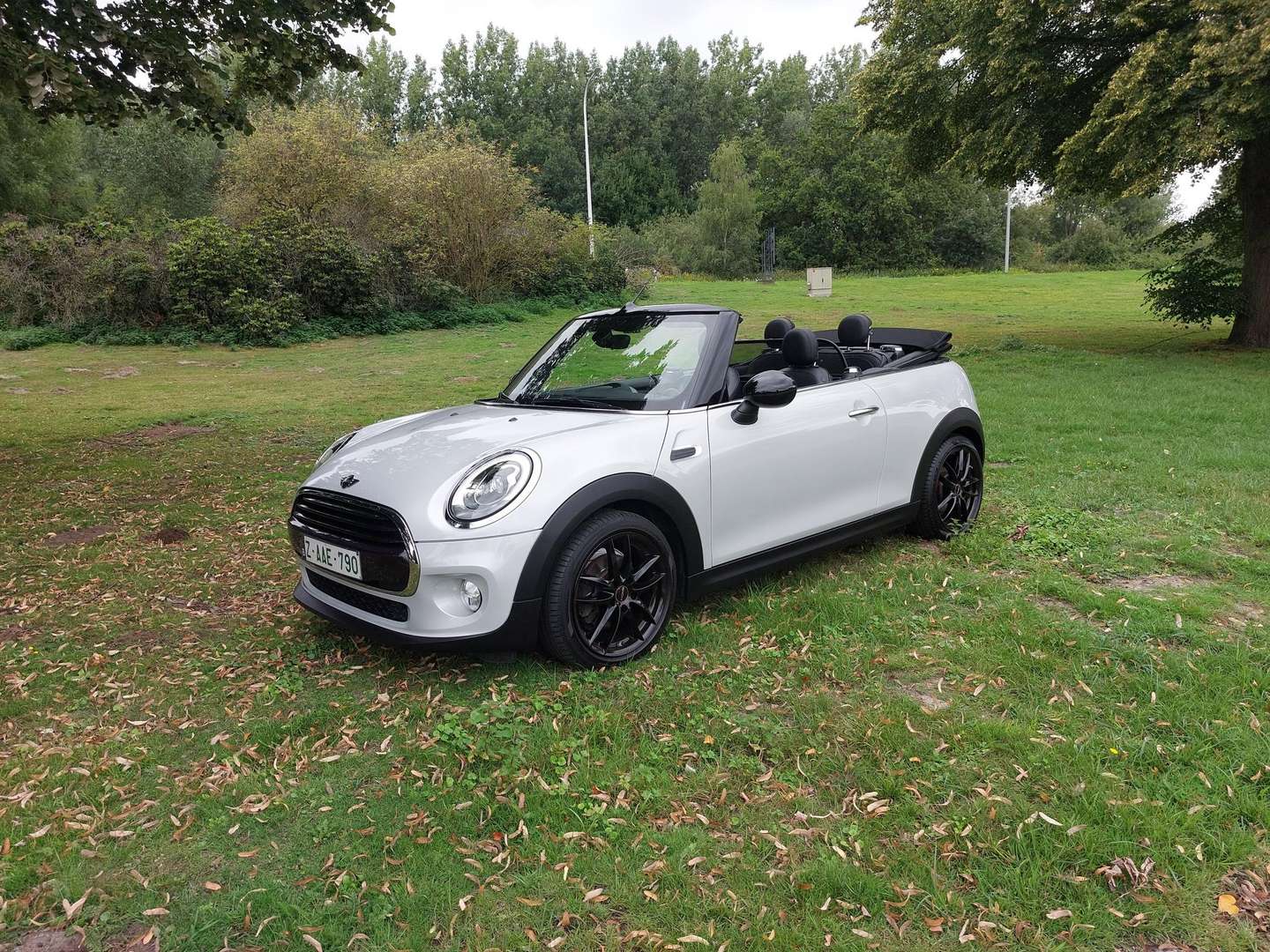 Mini Cabrio Cooper - 2018 - Joinsteer - #10