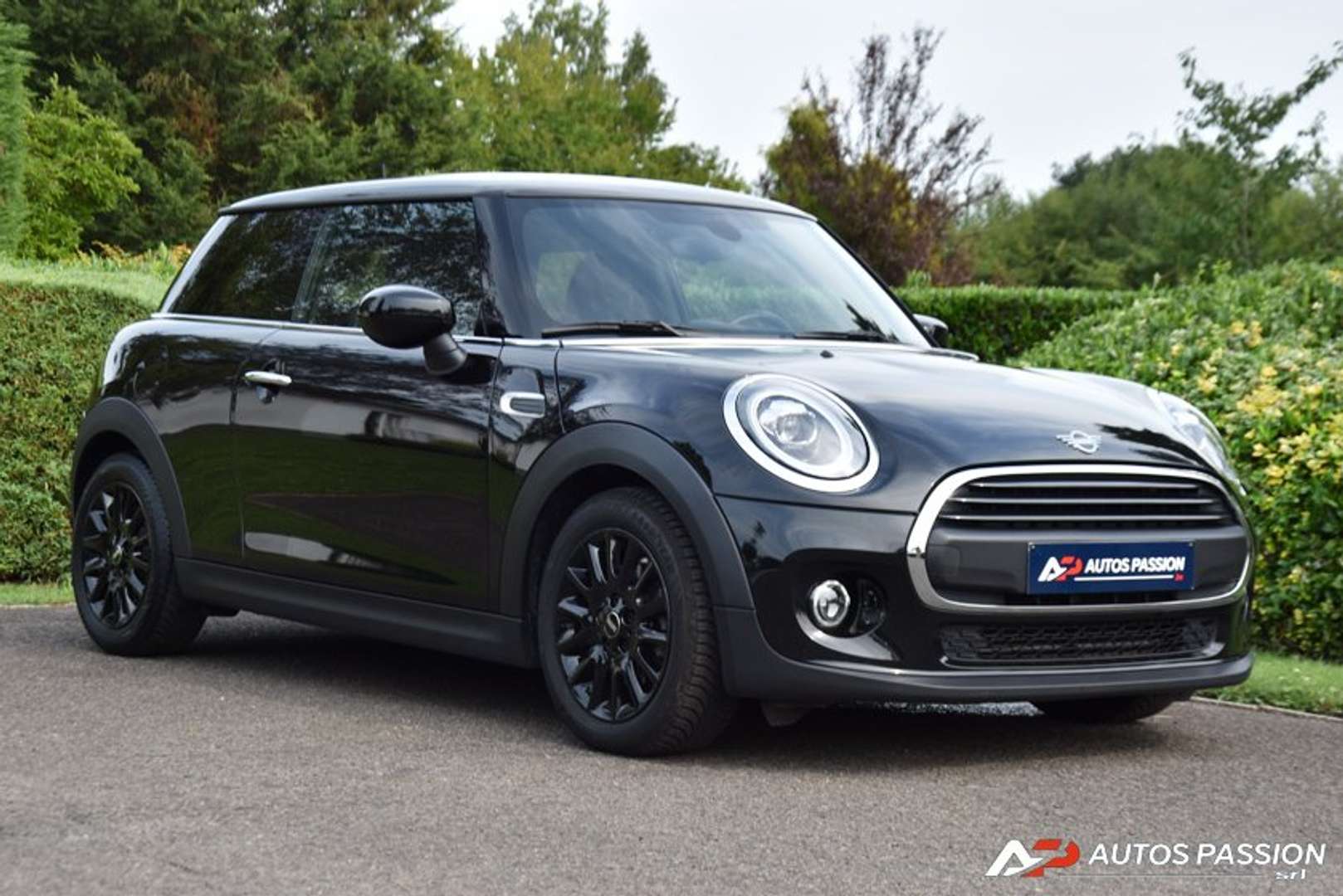 Mini One Light Pack_One - 2021 - Joinsteer - #1