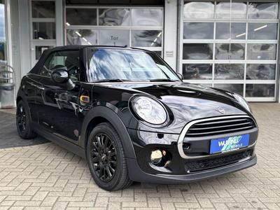 Mini Cabrio Pepper One