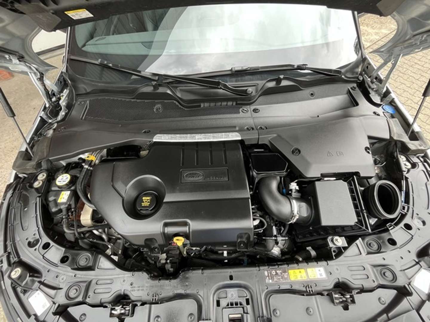 Land Rover Range Rover Evoque Dynamic - 2019 - Joinsteer - #15