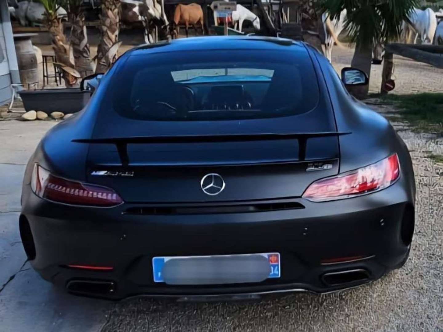 Mercedes AMG GT Coupé 557 AMG Line - 2018 - Joinsteer - #8