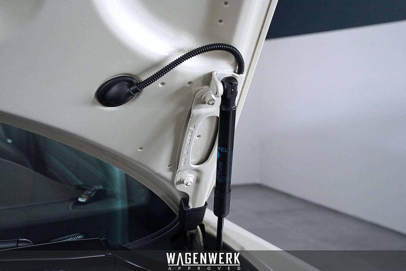 Porsche 991 Collector 50 Jahre - 2014 - Joinsteer - #9