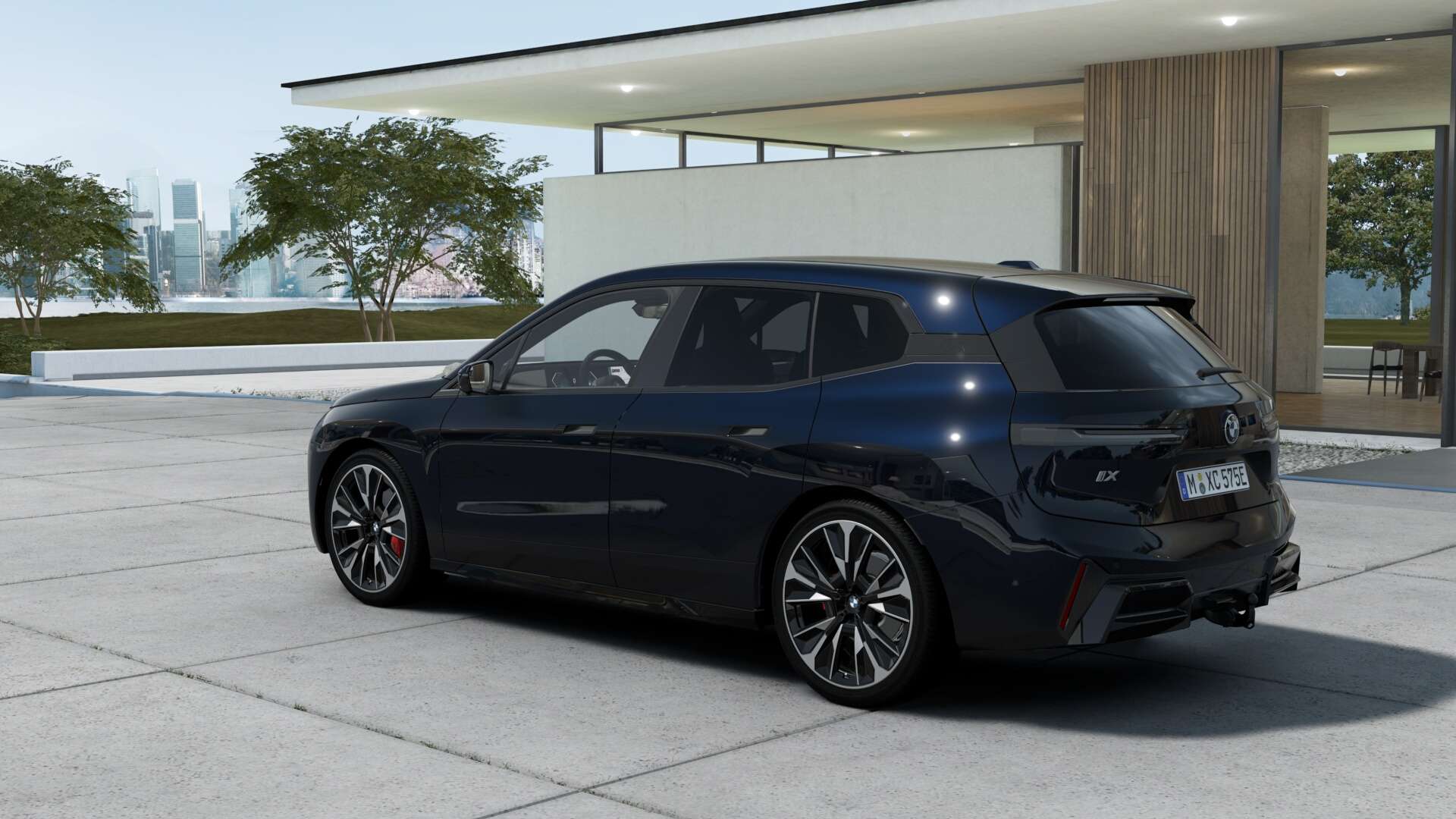 BMW IX Profession XDrive60 - 2025 - Joinsteer - #1