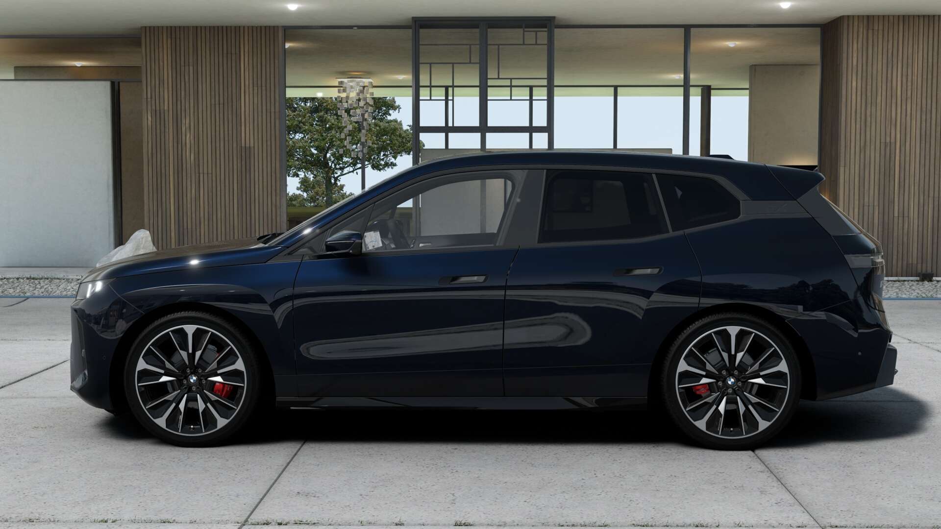 BMW IX Profession XDrive60 - 2025 - Joinsteer - #6