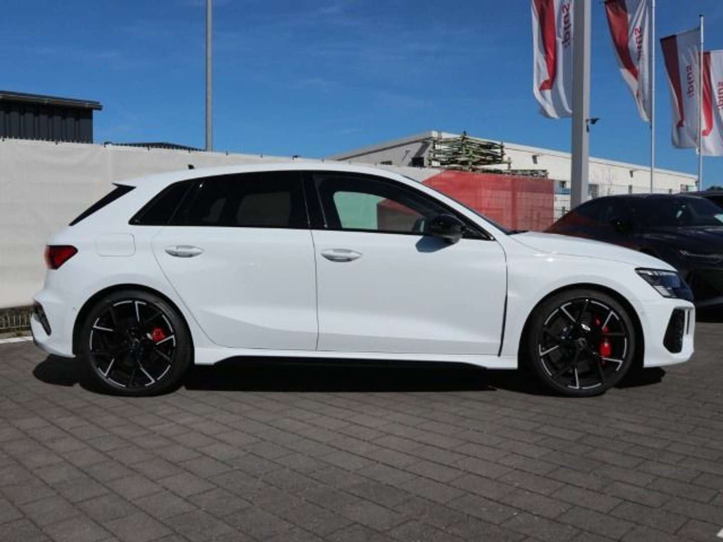 Audi RS3 RS SPORTABGASANLAGE - 2024 - Joinsteer - #2