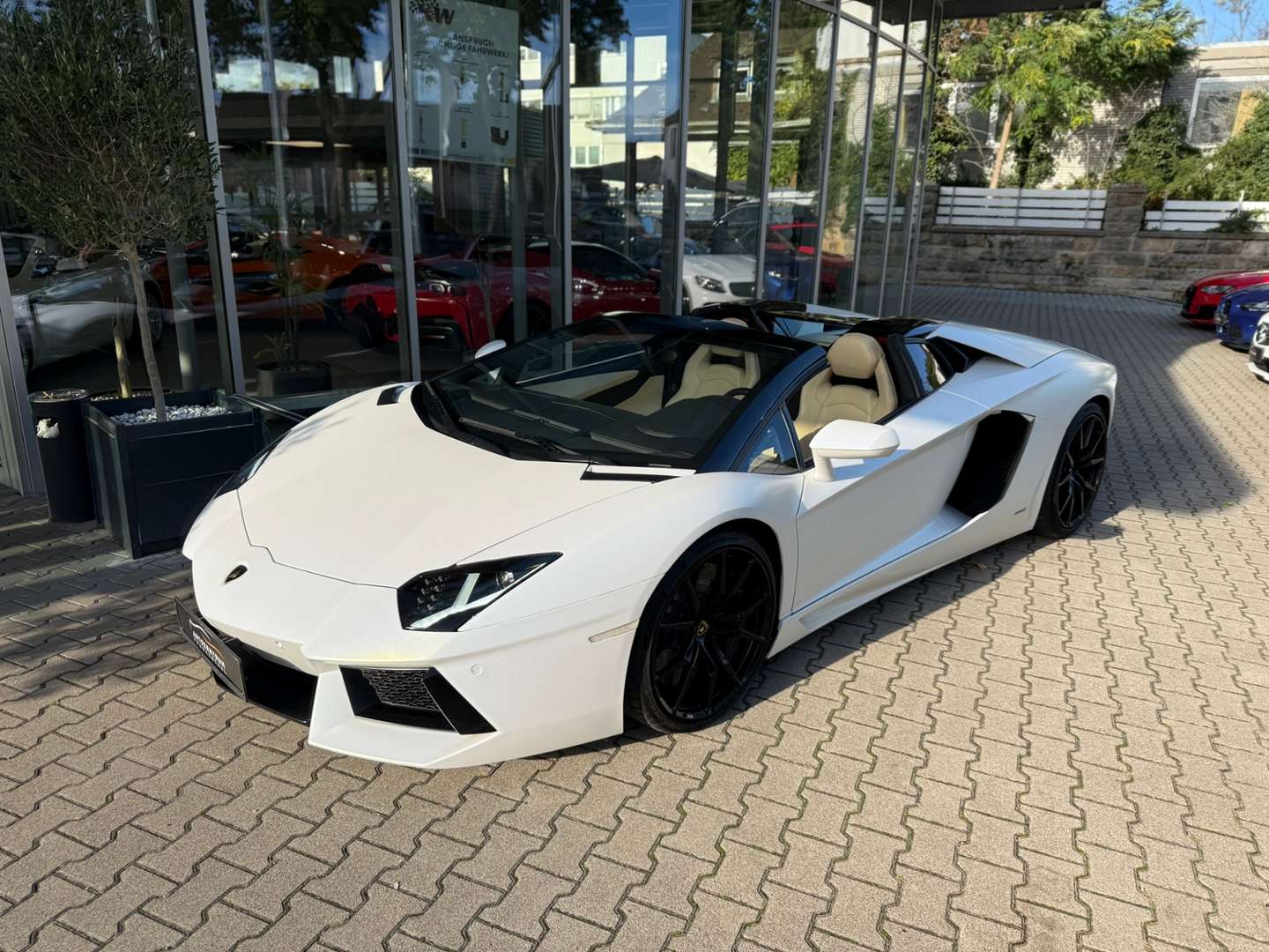 Lamborghini Aventador Roadster - 2013 - Joinsteer - #5