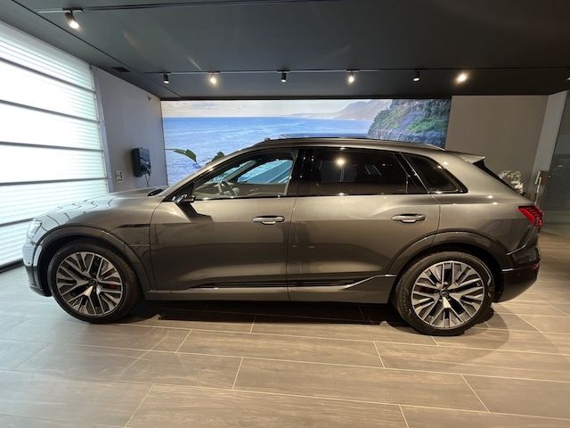 Audi Q8 E-tron S Line 55 E-tron Quattro 300,00 KW - 2023 - Joinsteer - #2