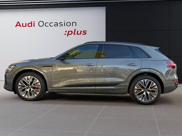Audi Q8 E-tron S Line 55 E-tron Quattro 300,00 KW - 2023 - Joinsteer - #44