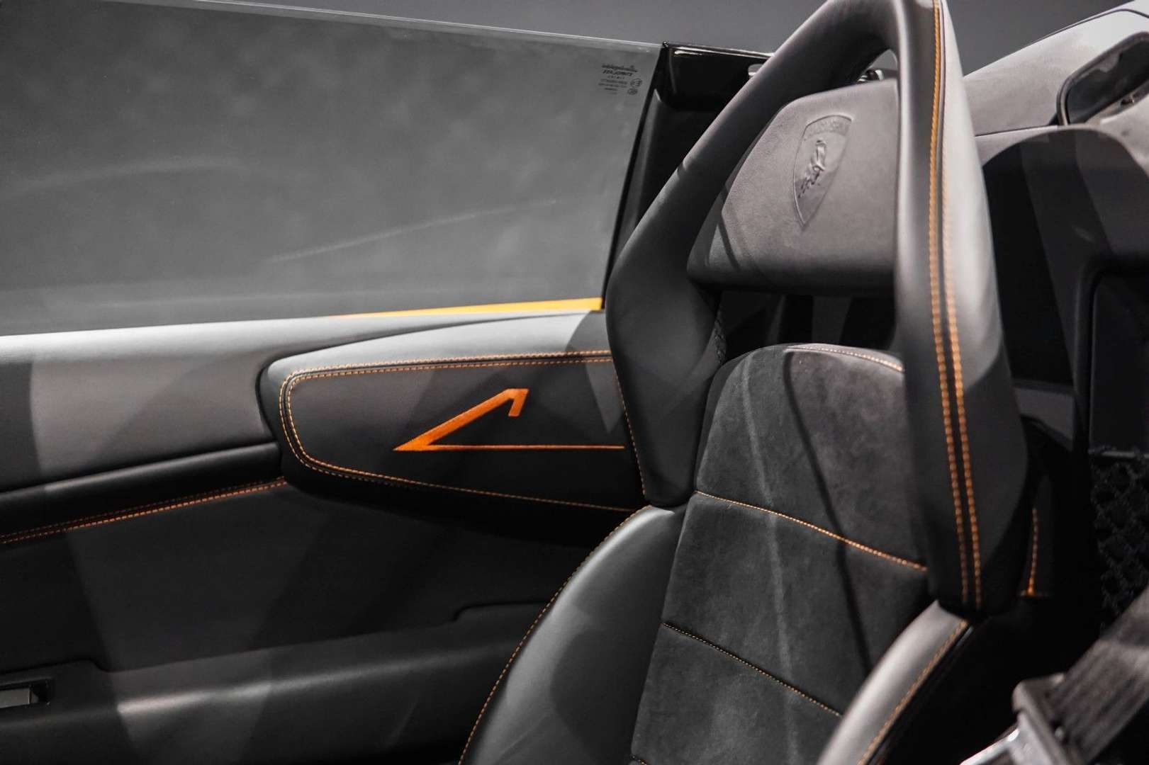 Lamborghini Murciélago SV Roadster - 2010 - Joinsteer - #25