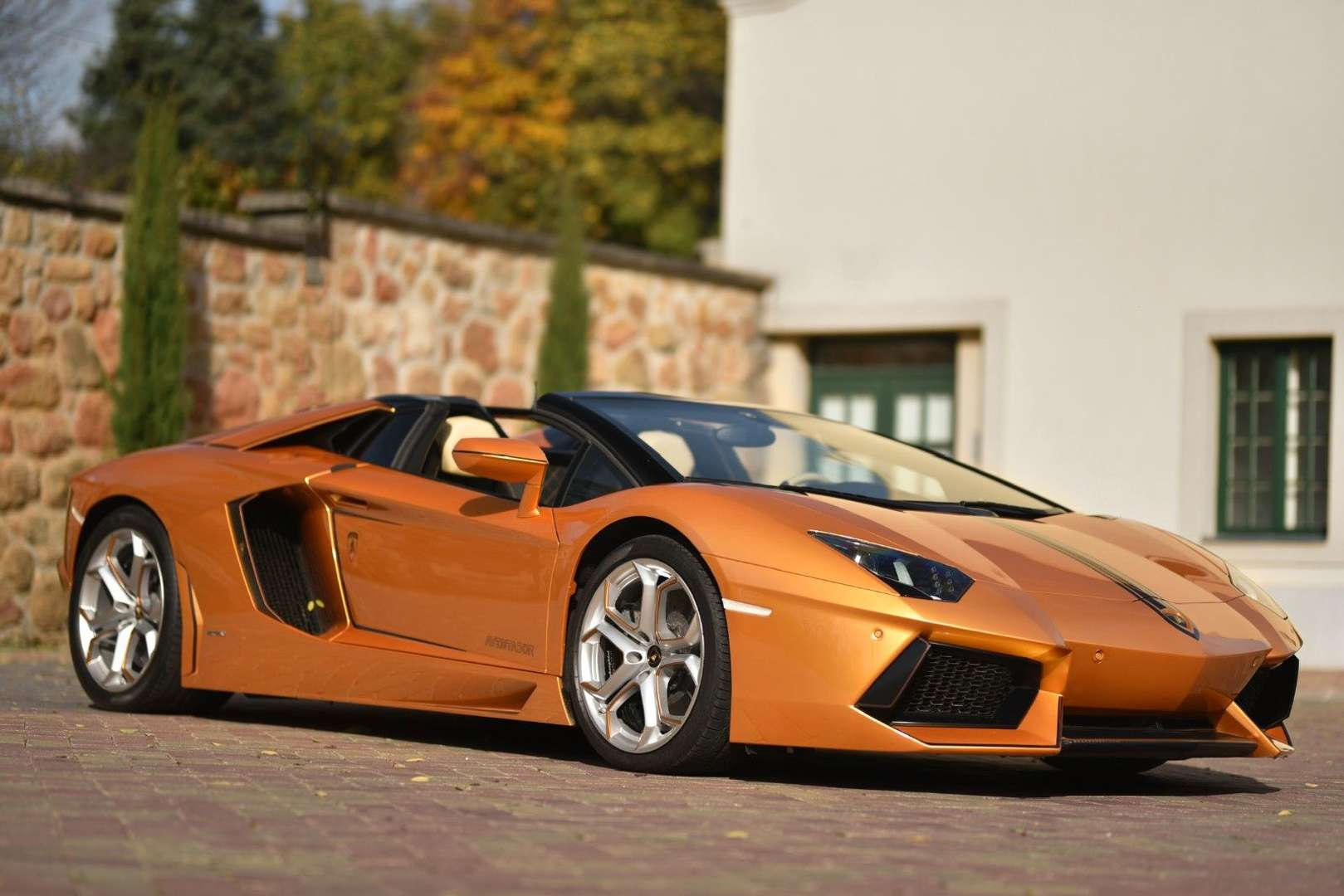 Lamborghini Aventador Roadster - 2015 - Joinsteer - #4