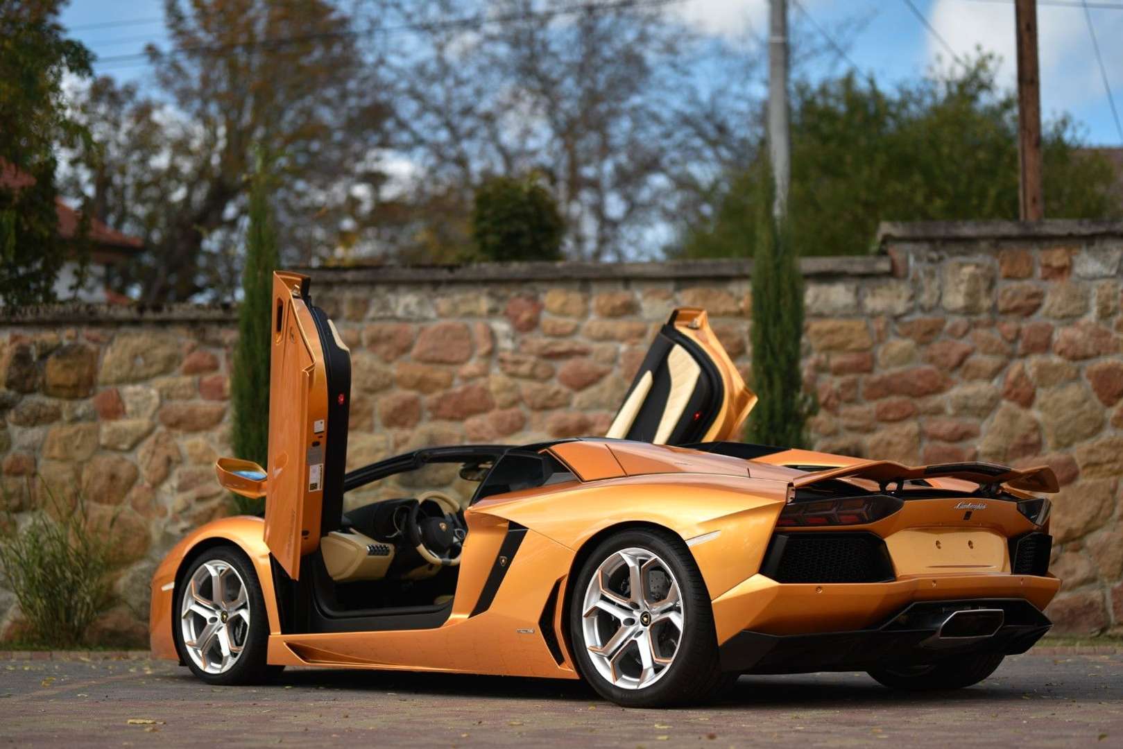 Lamborghini Aventador Roadster - 2015 - Joinsteer - #6