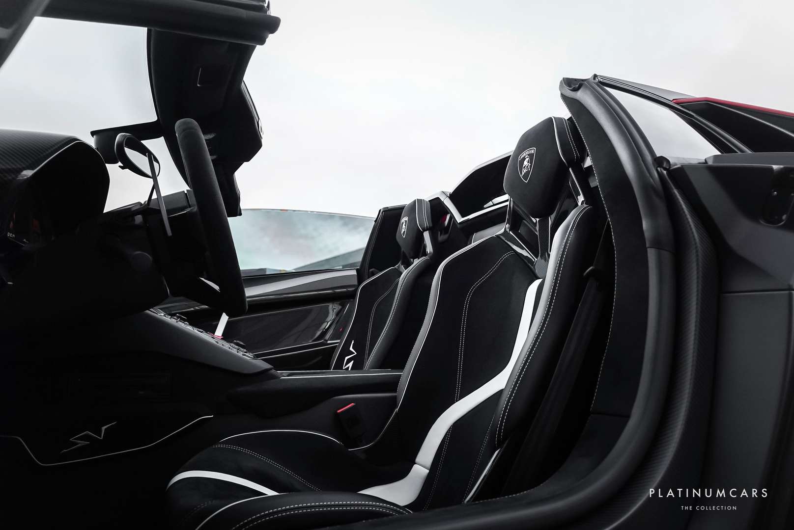 Lamborghini Aventador SV Roadster - 2016 - Joinsteer - #10