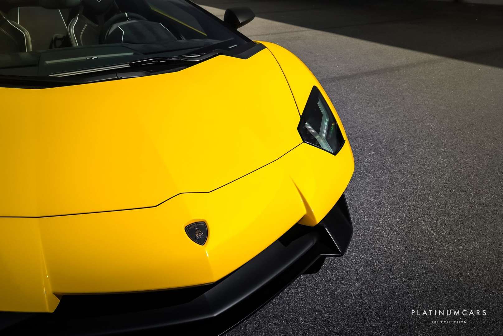 Lamborghini Aventador SV Roadster - 2016 - Joinsteer - #21