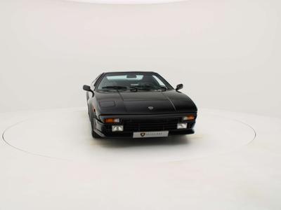 Lamborghini Jalpa Targa - - Joinsteer - #3