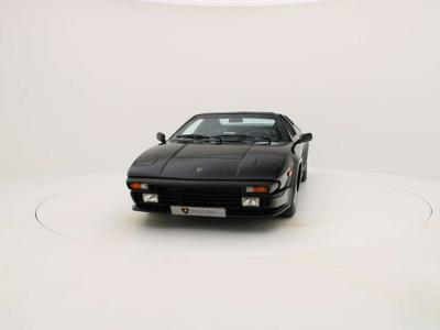 Lamborghini Jalpa Targa - - Joinsteer - #5