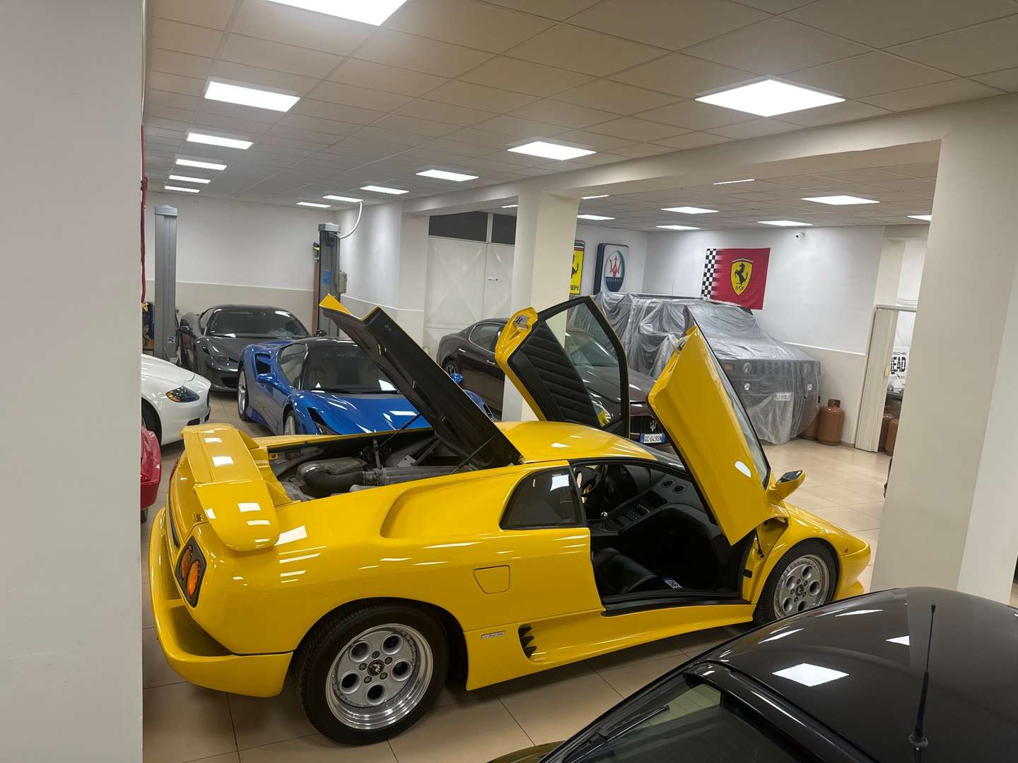 Lamborghini Diablo - 1992 - Joinsteer - #2