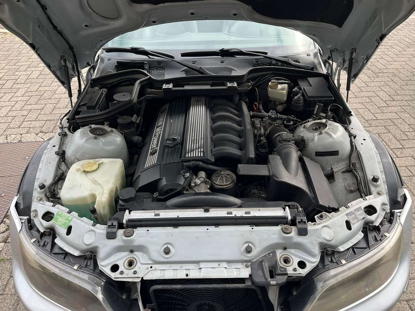 BMW Z3 M Roadster 3.2 - 1999 - Joinsteer - #14