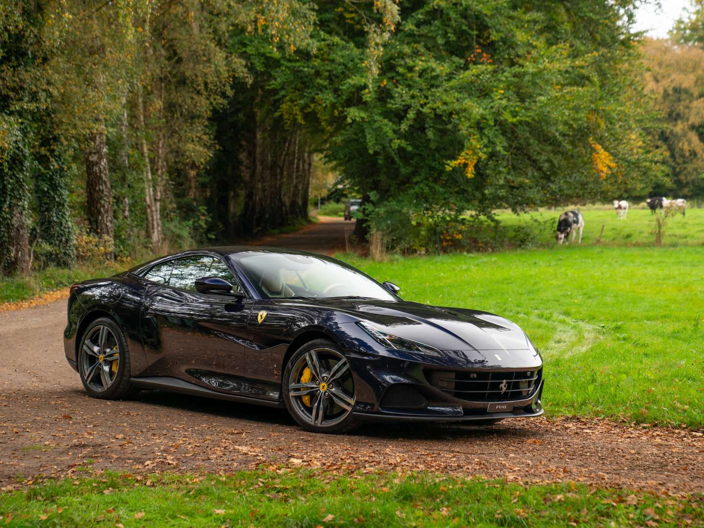 Ferrari Portofino M - 2023 - Joinsteer - #13