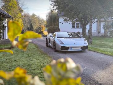 Lamborghini Gallardo — photo 13