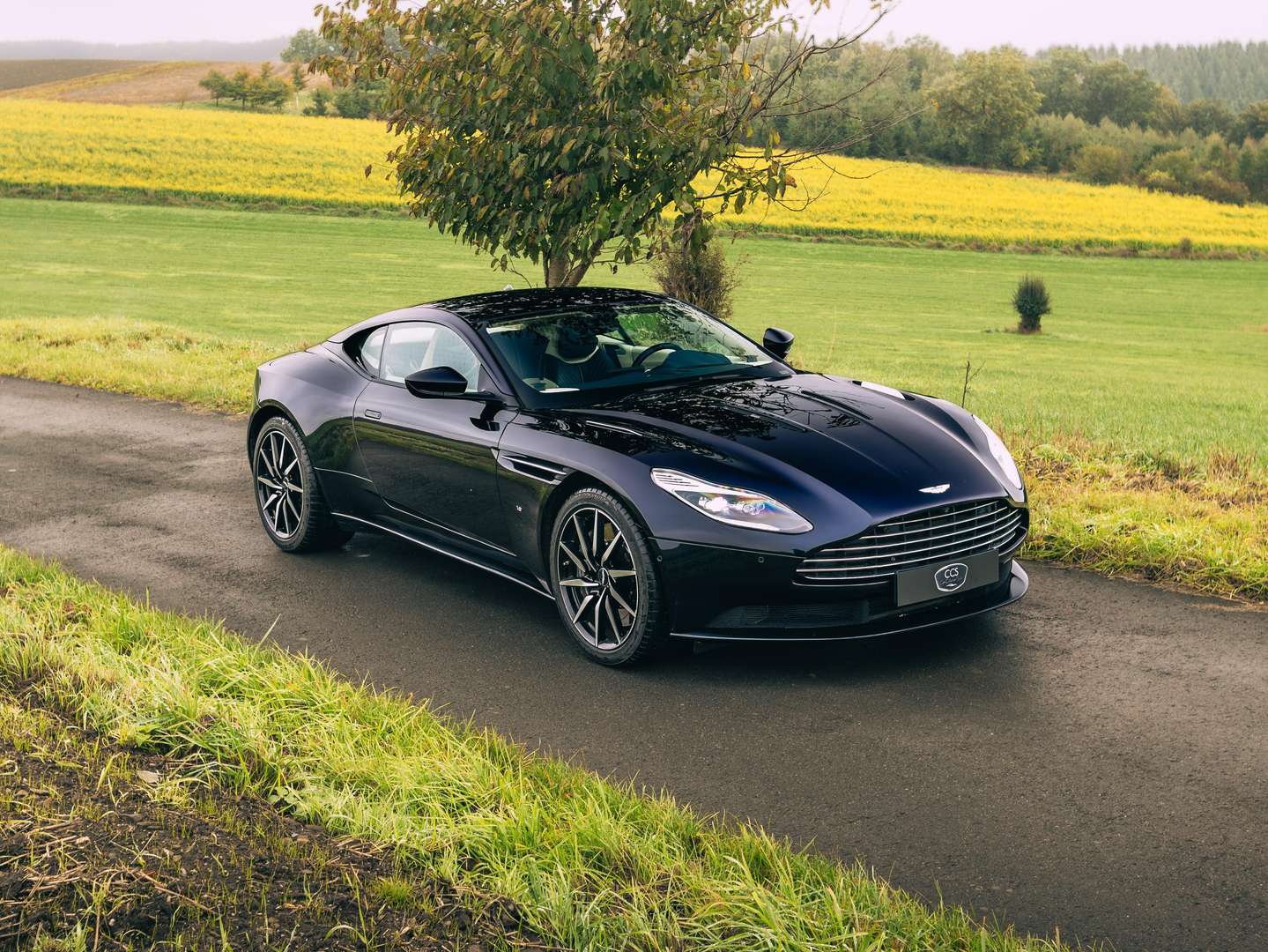 Aston Martin DB11 V12 Ultramarine Black - 2018 - Joinsteer - #1