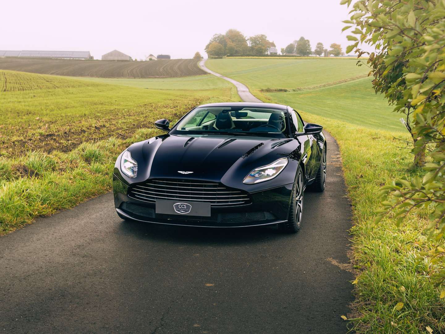 Aston Martin DB11 V12 Ultramarine Black - 2018 - Joinsteer - #2