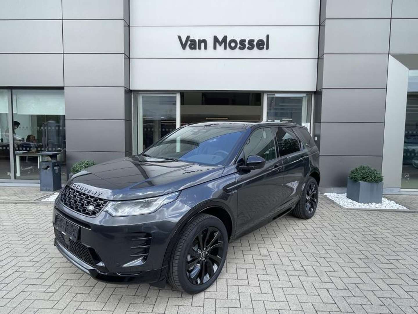 Land Rover Discovery Sport P270e Dynamic SE - 2025 - Joinsteer - #1