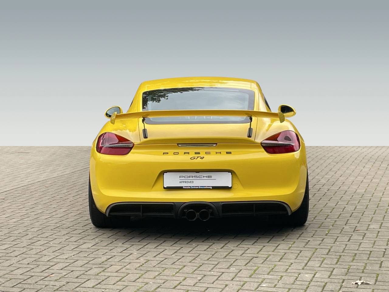 Porsche 981 Cayman Cayman GT4 - 2015 - Joinsteer - #5