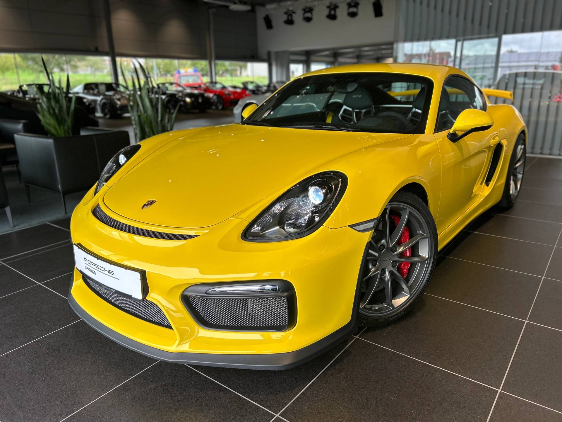 Porsche 981 Cayman Cayman GT4 - 2015 - Joinsteer - #1