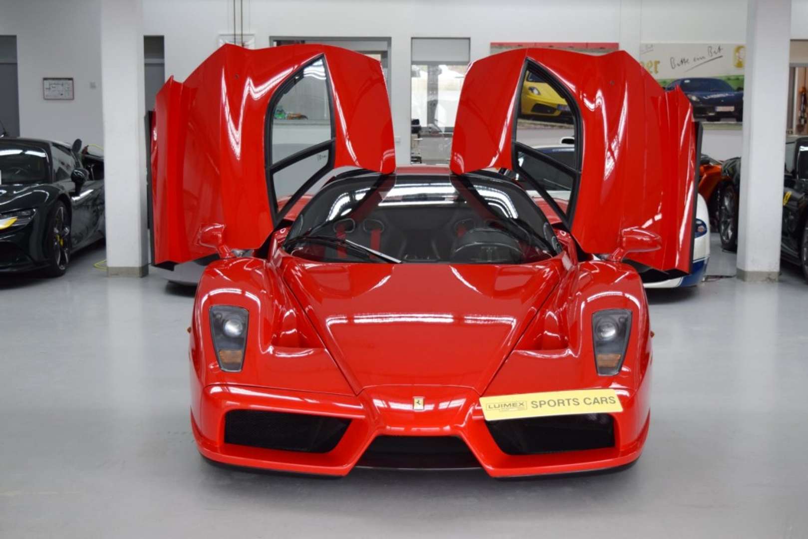 Ferrari Enzo - 2004 - Joinsteer - #28