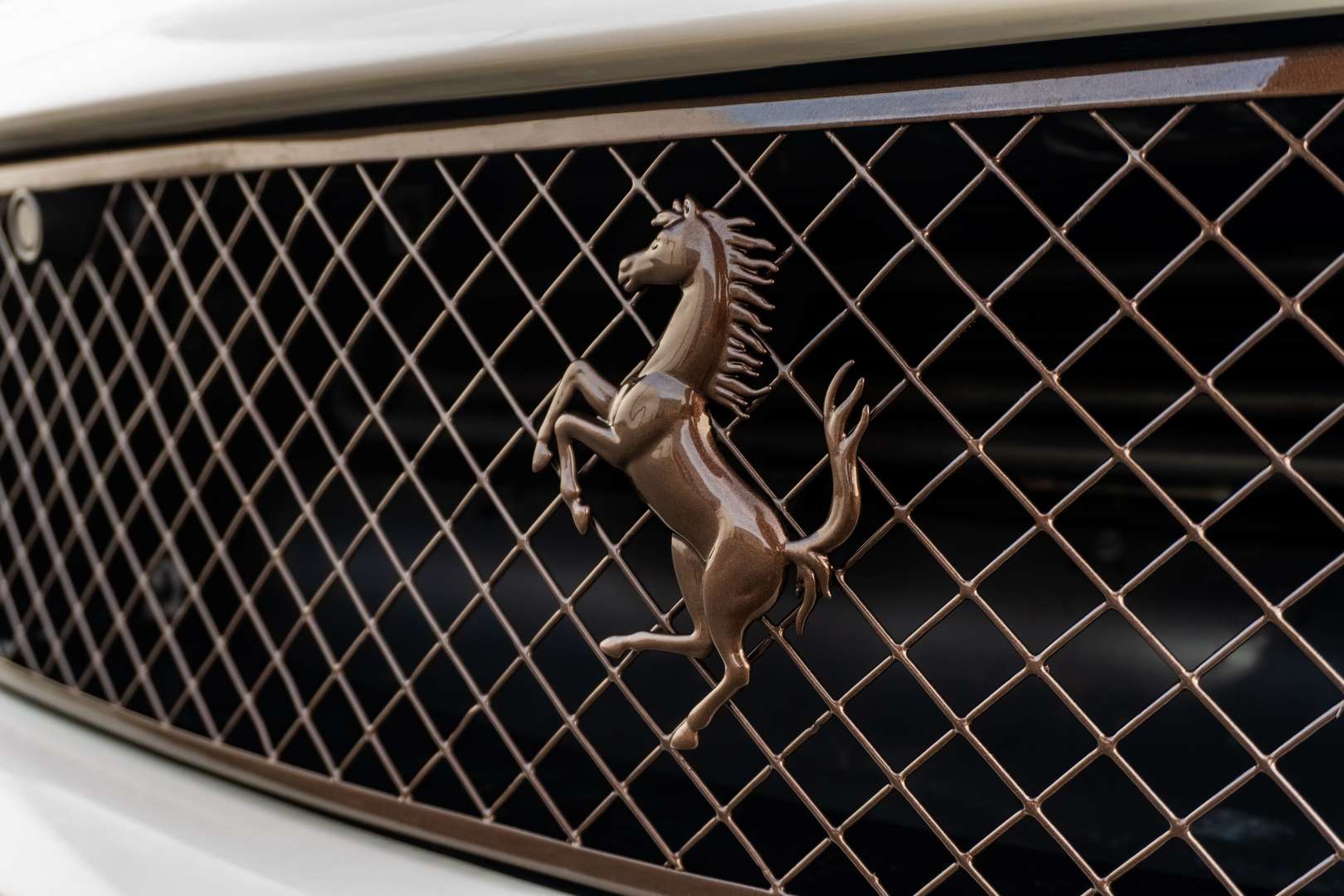 Ferrari 599 GTO - 2011 - Joinsteer - #28