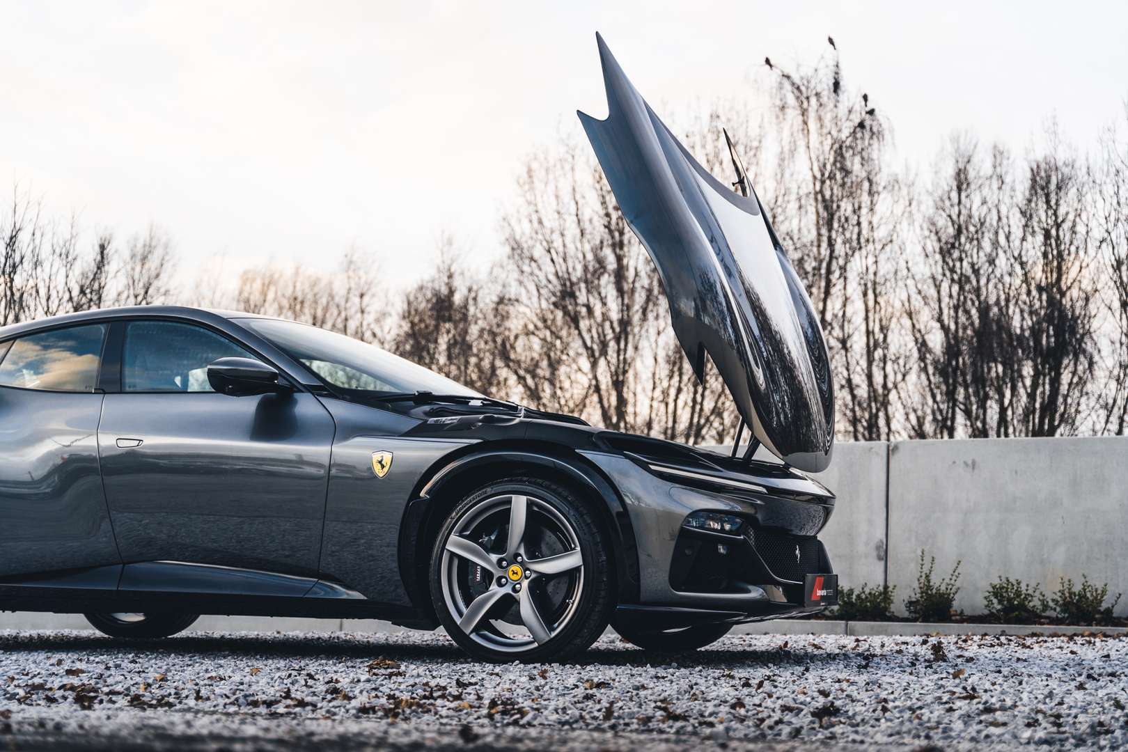 Ferrari Purosangue - 2025 - Joinsteer - #28